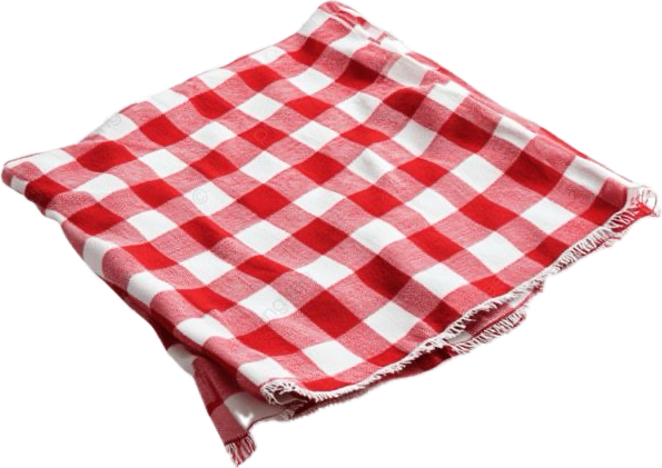 picnic towel